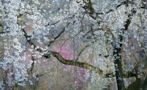  / FOTO: National Geographic